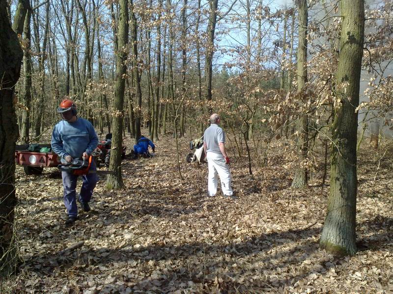 �i�t�n� obecn�ho lesa nad h�i�t�m