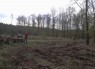 Sázení stromků 27.4.2013