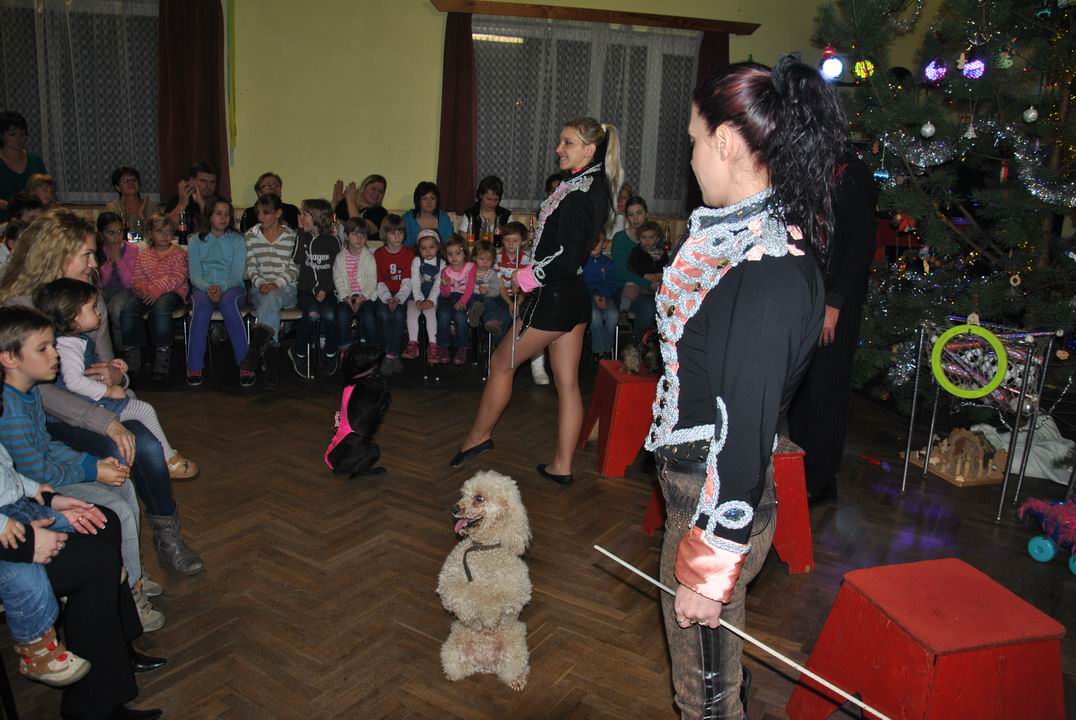 Bavily se dti i dospl