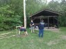 Mjka 2011 - 6